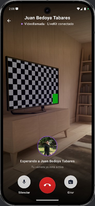Videollamada