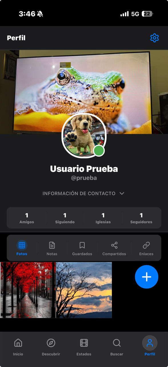 Perfil con publicaciones y guardados